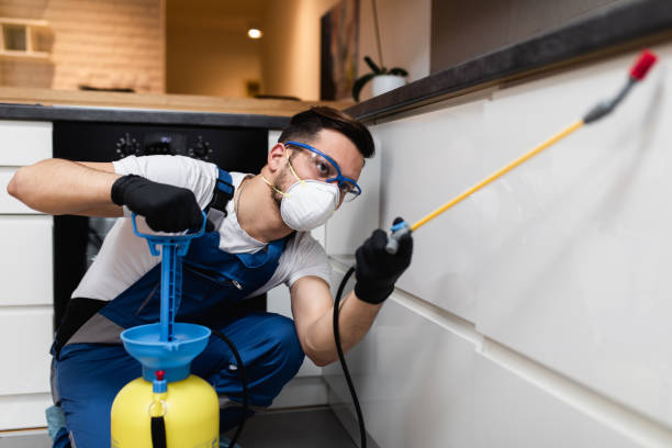 Best Emergency Pest Control  in Terra Bella, CA