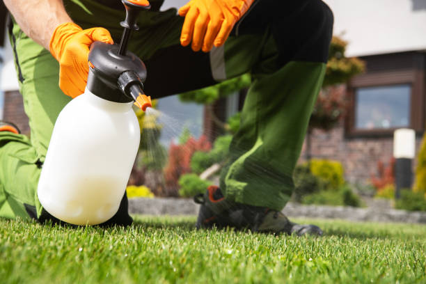 Best Pest Prevention Services  in Terra Bella, CA