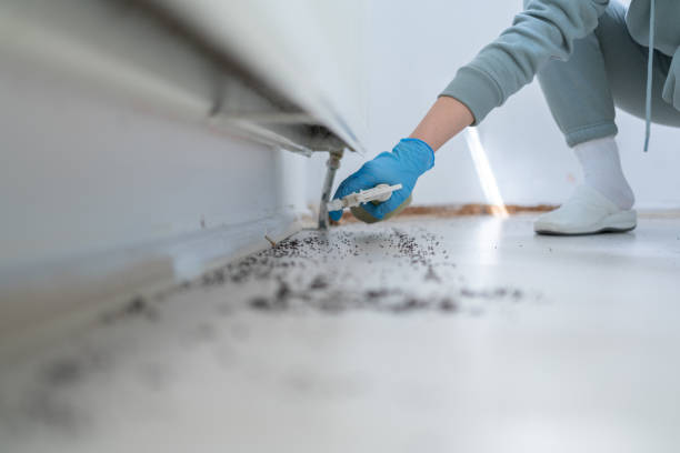 Best Rat Extermination Near Me  in Terra Bella, CA