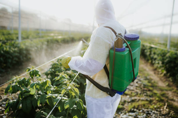 Best Pest Inspection Near Me  in Terra Bella, CA